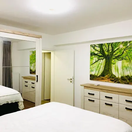 Greenheart Апартаменты Брашов