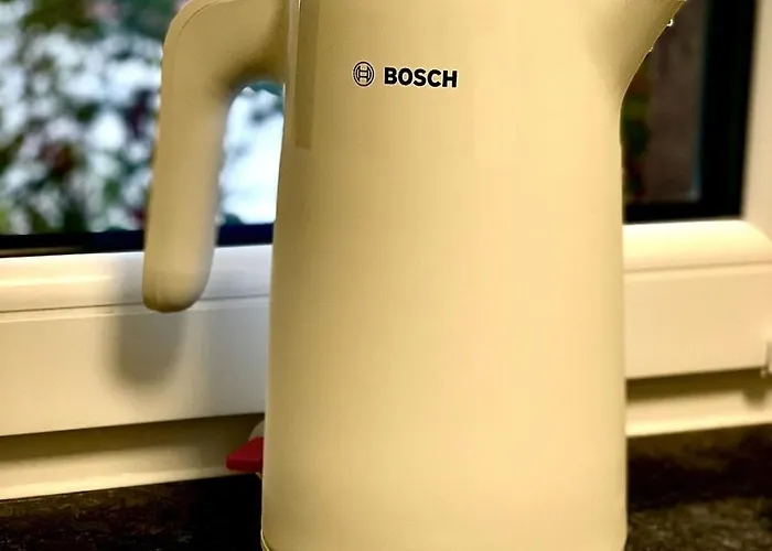 Greenheart 布拉索夫