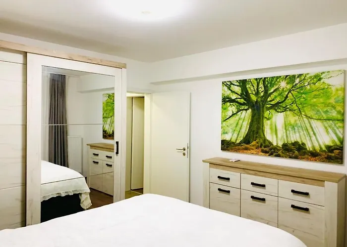 Greenheart 公寓 布拉索夫