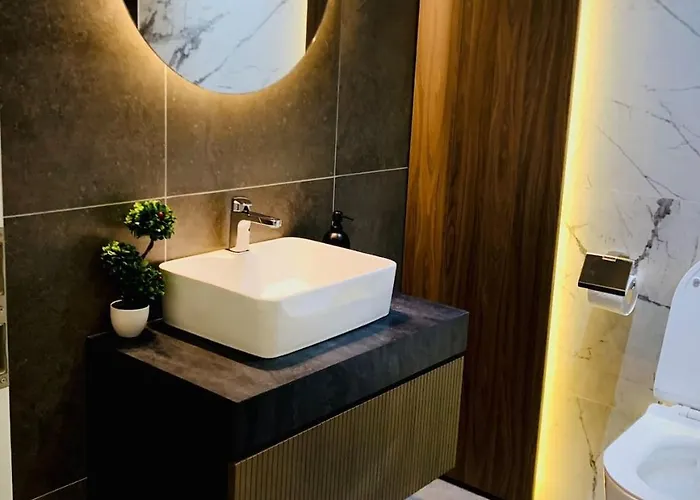 Greenheart 布拉索夫