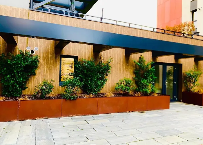 Greenheart 布拉索夫