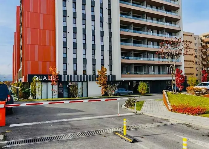 Greenheart * 布拉索夫